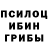 Псилоцибиновые грибы Cubensis TIlek Chokeev
