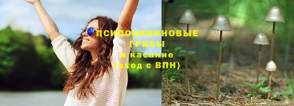 PSILOCYBIN Белокуриха