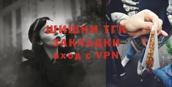 индика Беломорск