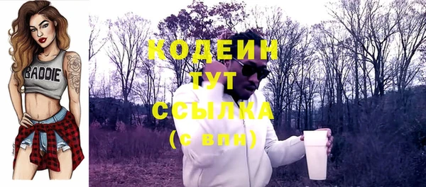 индика Беломорск