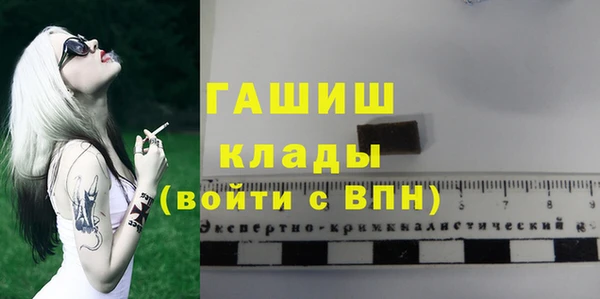 индика Беломорск