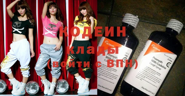 индика Беломорск