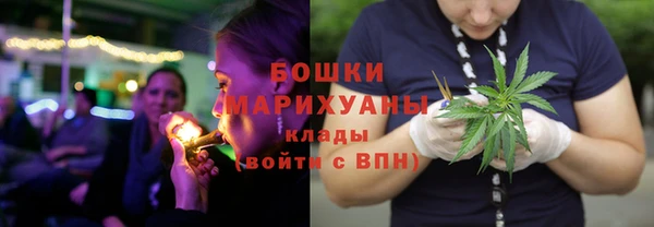 индика Беломорск