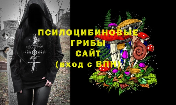 PSILOCYBIN Белокуриха