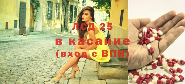 индика Беломорск