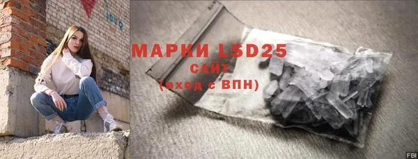 индика Беломорск
